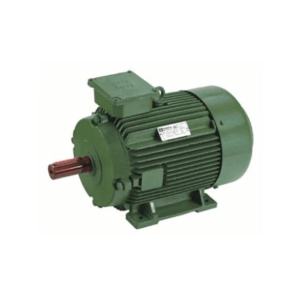 Hindustan 0.50HP 0.37KW 4 P 1500 RPM B3 FOOT 415VV 50HZ Frame: 71 IE2 CI BODY