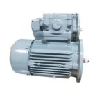 Hindustan 1 HP 0.75Kw 4 P 1500 RPM B5 Flange 415VV 50Hz Frame 80- Flp IE2 Motor
