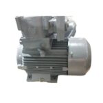 Hindustan 3HP 2.2KW 4POLE 1500RPM B3 FOOT Mounting 415VV 50HZ Frame 100L IE2 FLP MOTOR