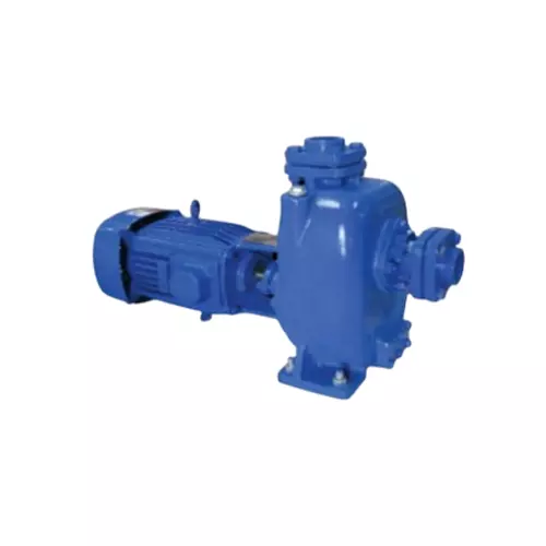 Algo Fango K Self Priming Mud Monoblock Pump Single Phase, FangoK-2040S