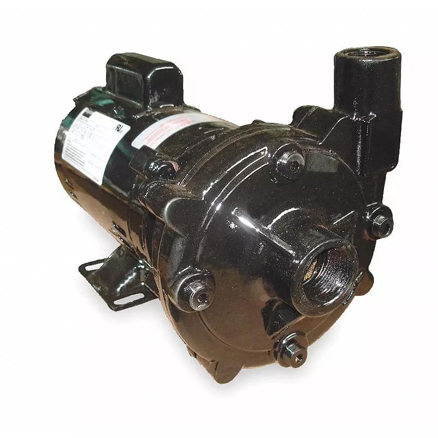 Dayton 3/4 HP Single Phase Pump, 2ZXJ3 Dayton 3/4 HP Single Phase Pump, 2ZXJ3