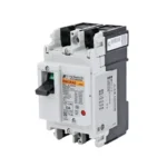 Fuji Electric Standard High Performance Type Auto Breaker for General Wiring, BW250HAG-2P250