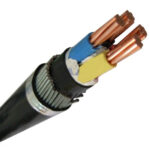 Polycab 10 Sq.mm 4 Core Copper Conductor Armoured LT Power Cable 2XFY